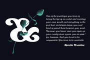 Thephir variable, a Script Font by NREY (Thumbnail 2 of 8)