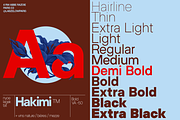 ZT Hakimi - 22 Fonts & Variable, a Sans Serif Font by zelow type (Thumbnail 3 of 16)