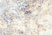 20 marble textures. Beige collection, a Texture Graphic by tkdesign (Thumbnail 2 of 21)