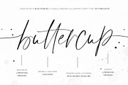Wild Peonies | Stylish Modern Font, a Script Font by Pink Coffie (Thumbnail 6 of 16)