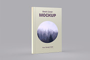 Book Cover Mockup, a Mockup by graphypix (Thumbnail 1 of 3)