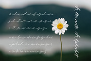 Roshiaty - Signature Casual Font, a Script Font by Dhabee (Thumbnail 6 of 14)