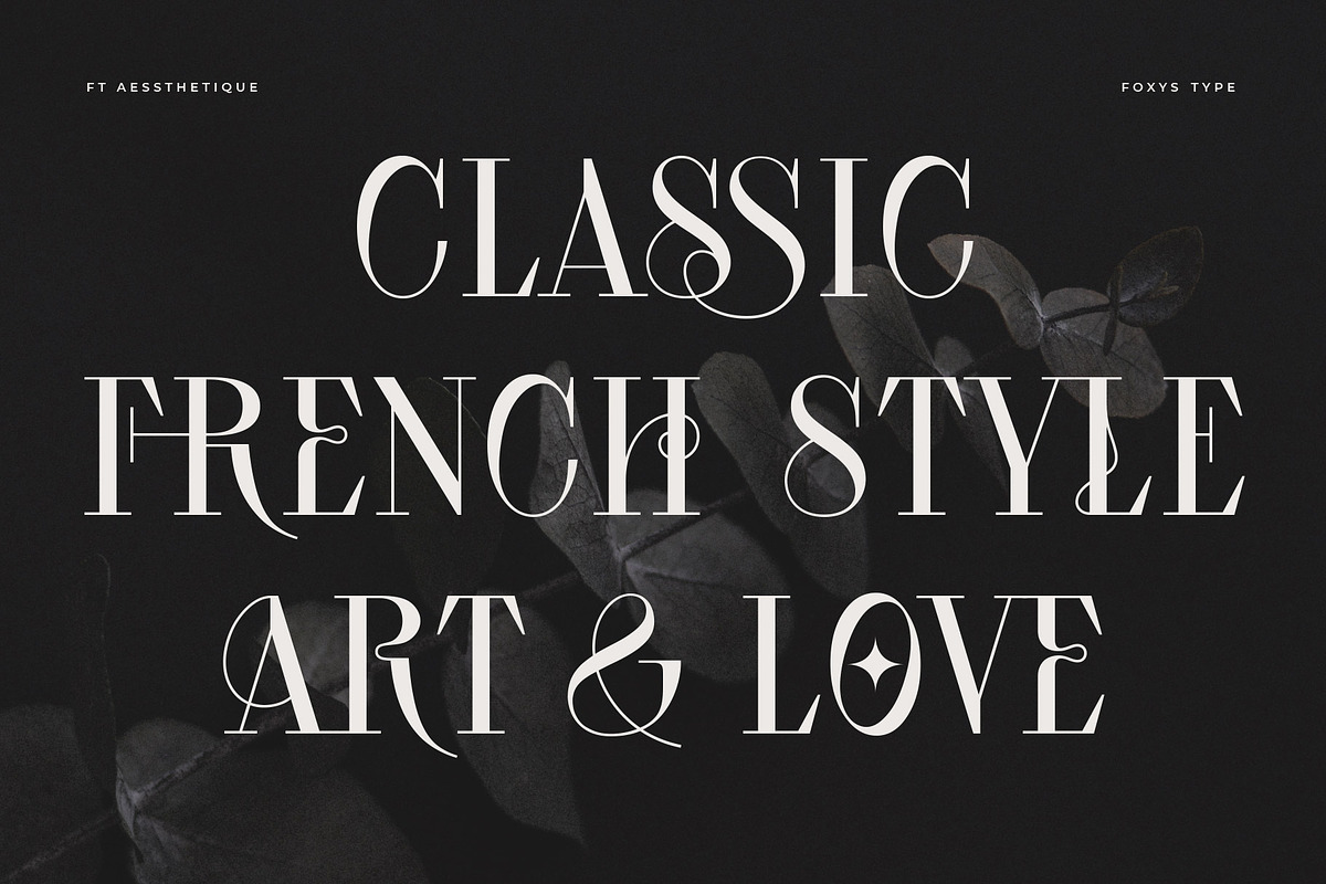 Aessthetique, a Serif Font by Foxys Type (Photo 2 of 11)