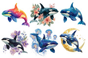 Watercolor Orca Clipart, an Illustration by Designworld (Thumbnail 3 of 6)