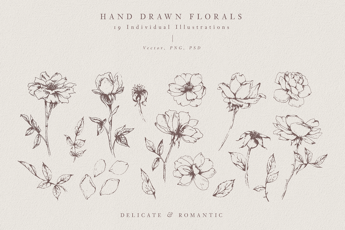 Velvet Petals - Fine Art Florals, an Illustration by Luna May Designs (Photo 3 of 5)