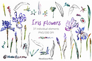 Watercolor Iris Flowers Clipart, a Decorative Illustration by MariaScaroniAtelier (Thumbnail 2 of 6)