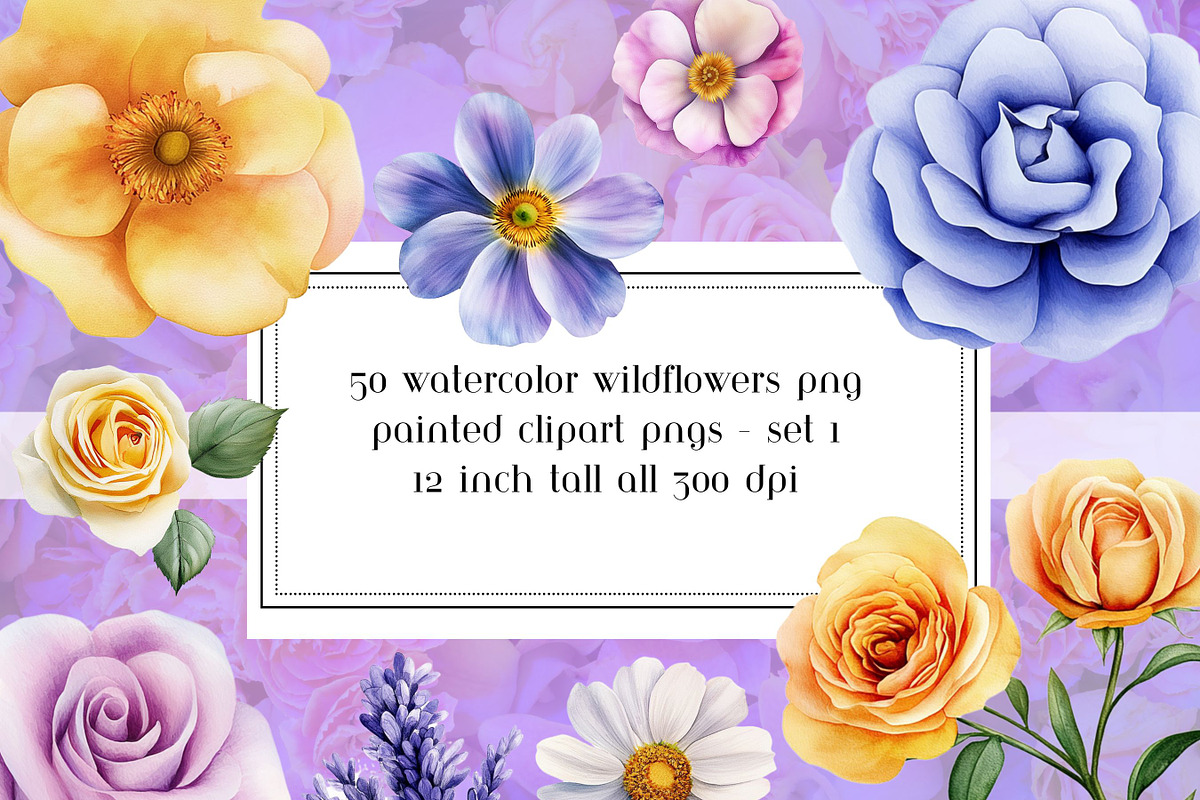 50 Watercolor Painted Wildflowers, an Object Graphic by AllTheKewtClipart (Photo 1 of 5)