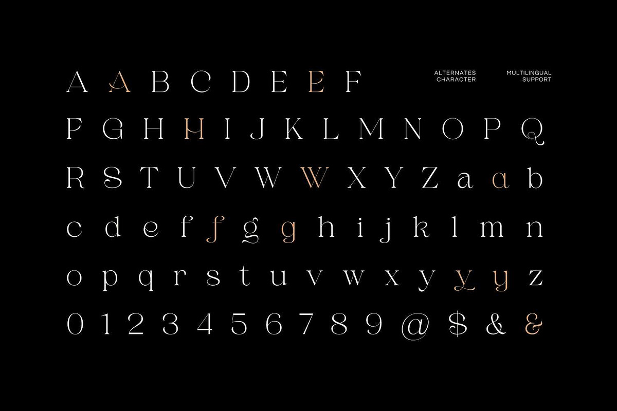 Beilu Moolli - Aesthetic Serif, a Serif Font by Imoodev (Photo 5 of 5)
