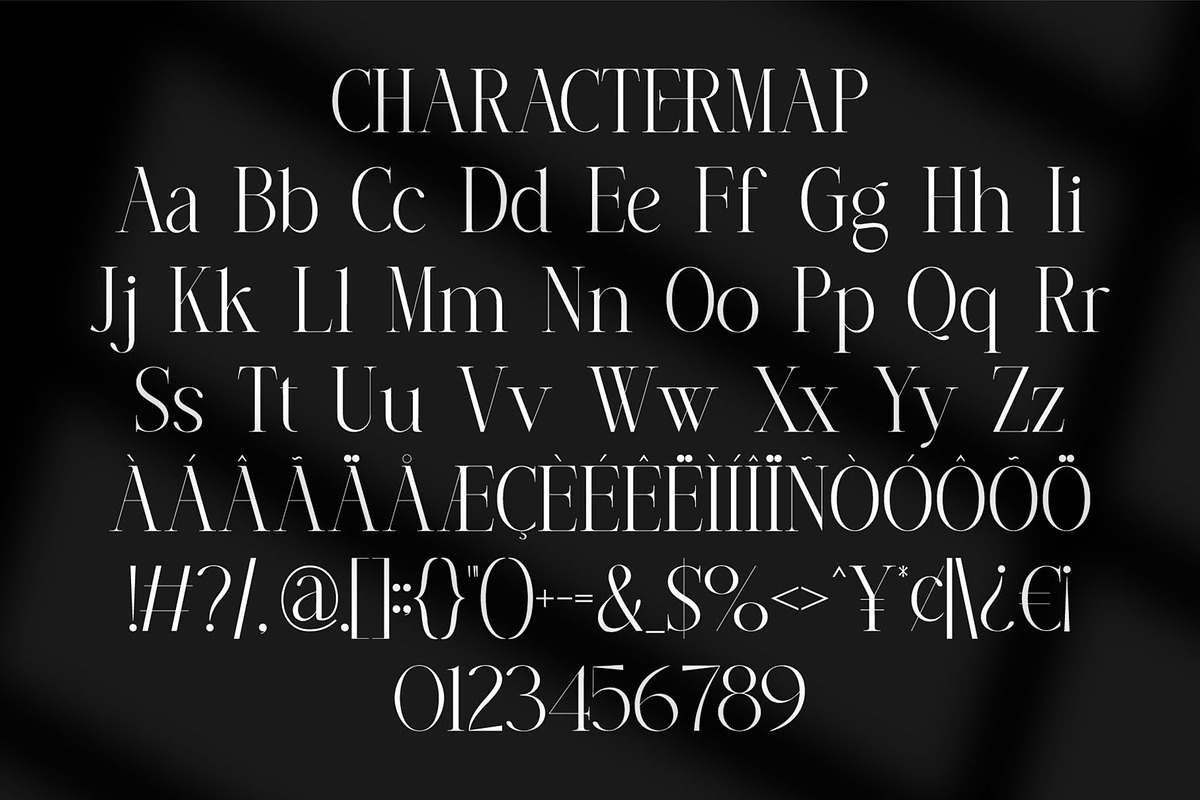 Mineva || Modern Classy Serif Font, a Serif Font by Ermedia Studio (Photo 7 of 8)