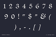 Decorative Medieval Blackletter Font, a Script Font by Century Library (Thumbnail 12 of 12)