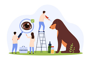 Eye examination of dog at, an Object Illustration by Flashvector