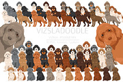 Vizsladoodle (Vizsla Poodle mix), an Animal Illustration by pet design shop (Thumbnail 1 of 6)