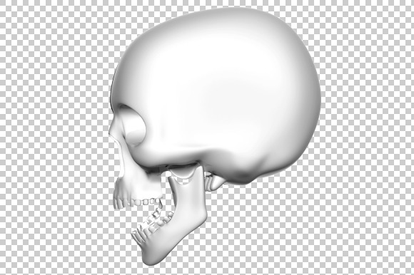 Skull 3D Render Png