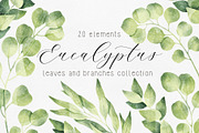 Eucalyptus Branches Collection, an Illustration by Helga Wigandt (Thumbnail 1 of 5)