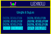 Digital Revolution font, a Font by weknow (Thumbnail 7 of 8)