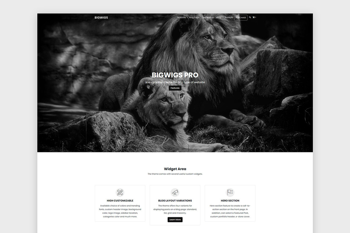 Bigwigs Pro is a versatile WP theme, a WordPress Template by DinevThemes (Photo 1 of 3)