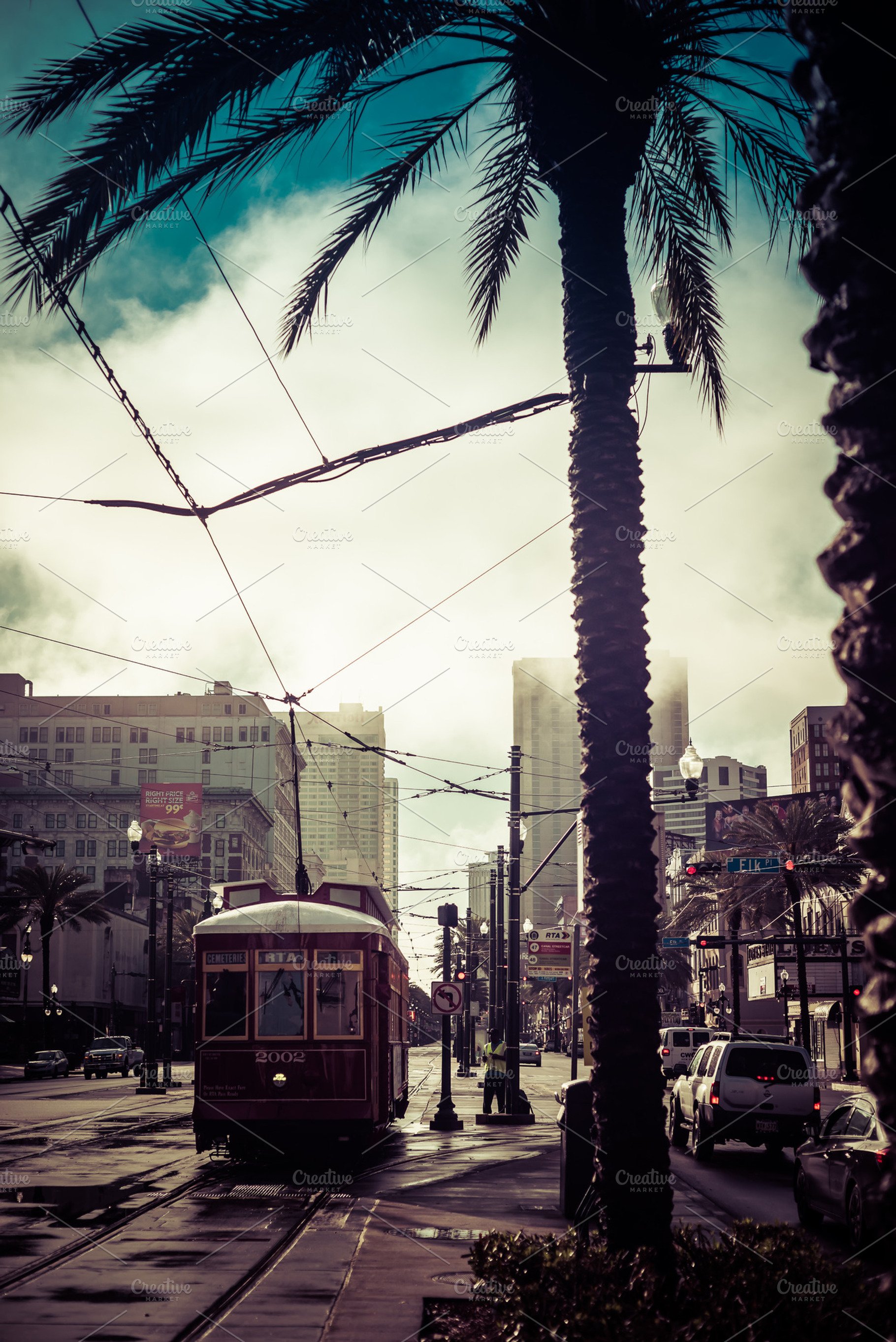 Rainy morning in new orleans featuring new orleans, palm, and rain