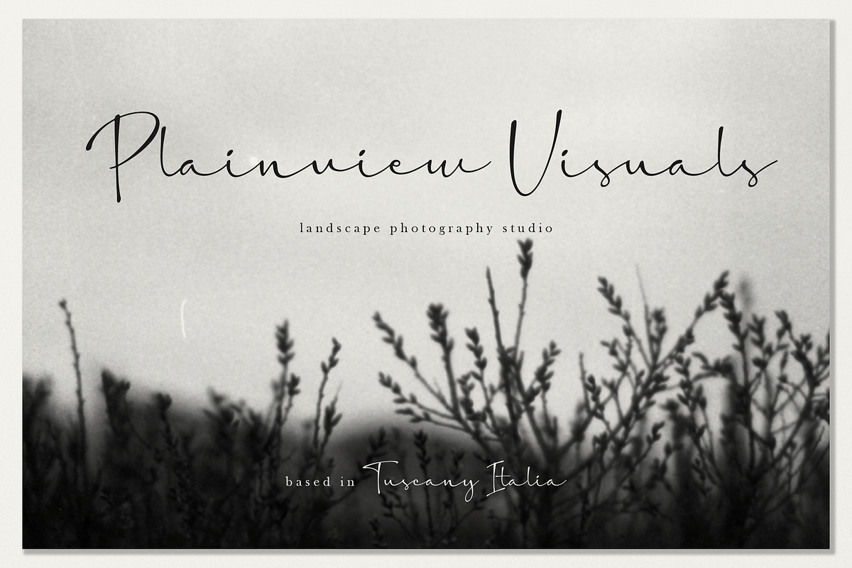 The Candelor | Luxury Chic Font, a Script Font by Denustudios (Photo 8 of 12)