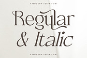 Metrolin Modern Serif Font, a Serif Font by Storytype Studio (Thumbnail 6 of 15)