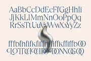 Stokeda Thin Modern Serif Font, a Serif Font by timelesstype.co (Thumbnail 13 of 15)