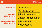 CA Edwald, a Serif Font by Cape Arcona Type Foundry (Thumbnail 5 of 10)