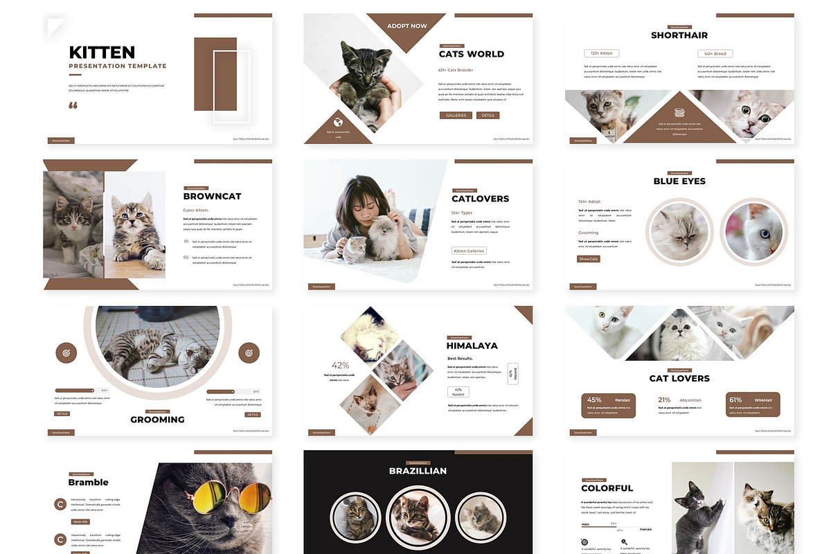 Kitten - Powerpoint Template, a Presentation Template by AQR Studio