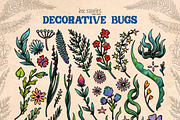 Decorative Bugs | Hand-drawn Bettles, an Animal Illustration by Ink Stories (Thumbnail 4 of 28)