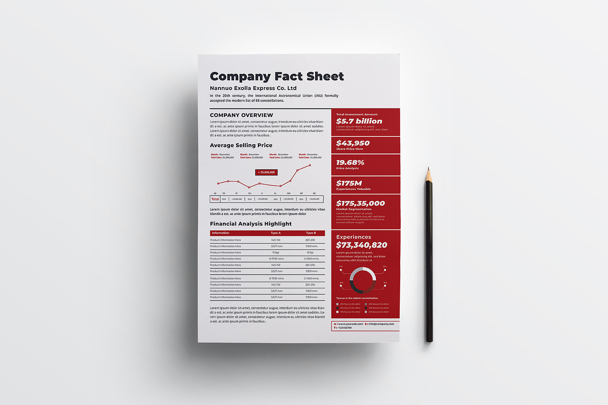 Company Fact Sheet, a Flyer Template by obayes (Photo 2 of 4)