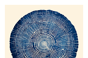 Natt Collection · Organic Tree Rings, a Texture Illustration by milatovar (Thumbnail 11 of 19)