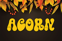 AcornSpecial font