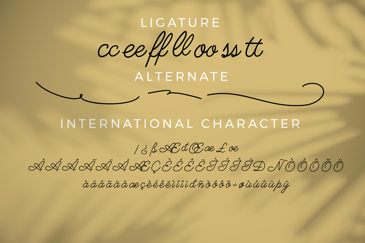 Sweet Talker - Monoline Script style, a Script Font by mahstudios (Photo 6 of 8)
