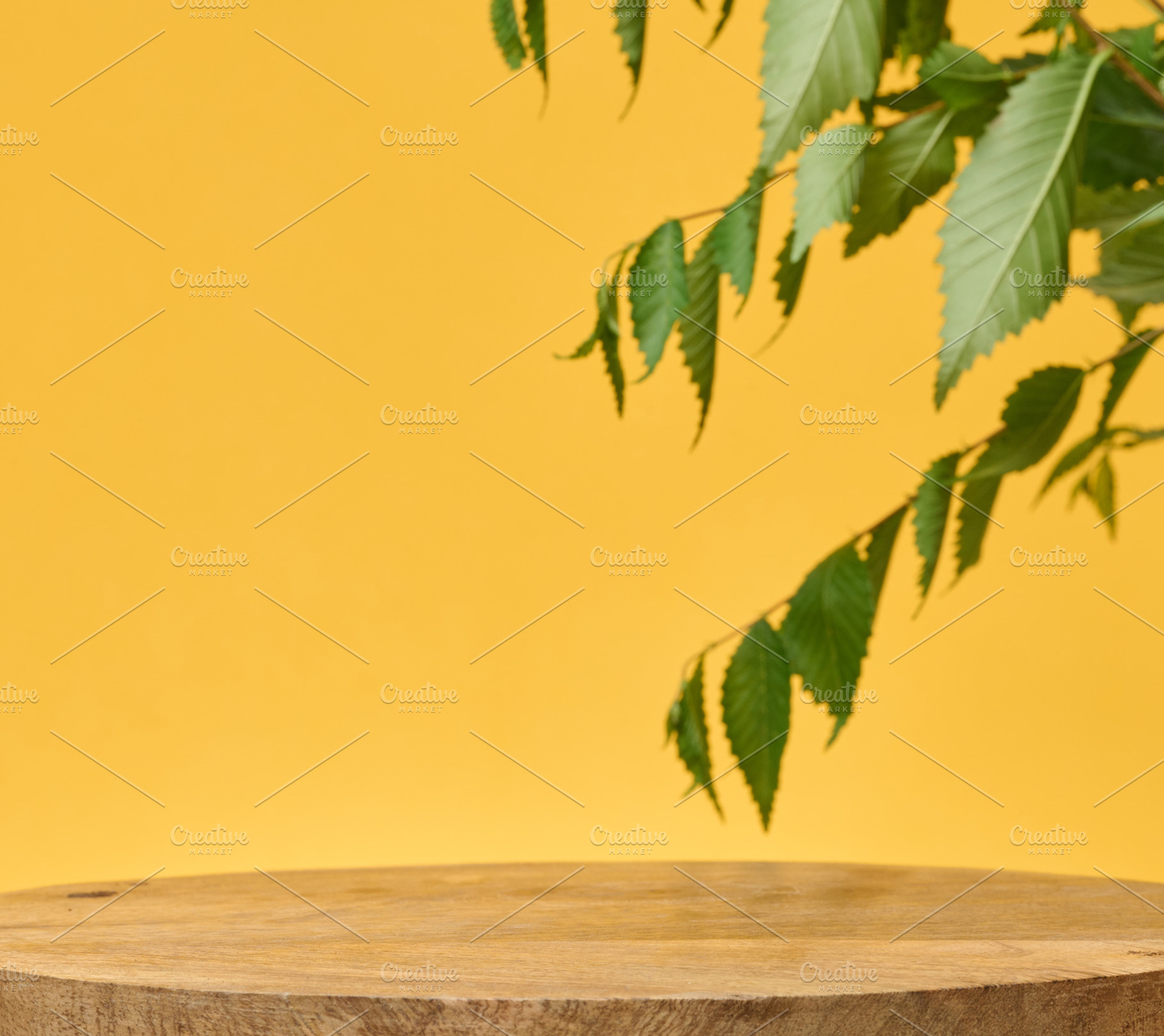 Round wooden podium with a branch with green leaves hanging from, a Background Photo by ndanko
