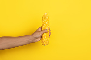 Female hand with yellow nail polish holding an ear of corn again, a Food & Drink Photo by Ales Munt
