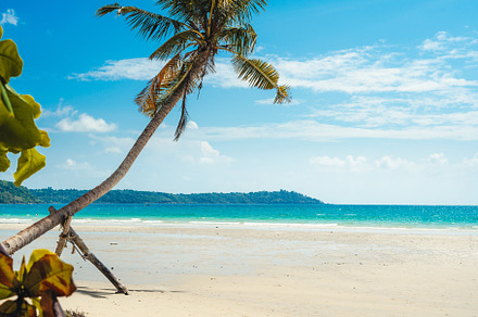 Tropical beach,Coconut trees and blue sea on a summer day, a Nature Photo by Art Rachen