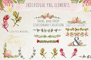 Watercolour Protea Flower DIY Pack, an Illustration by Ingrid Marais Design (Thumbnail 2 of 4)
