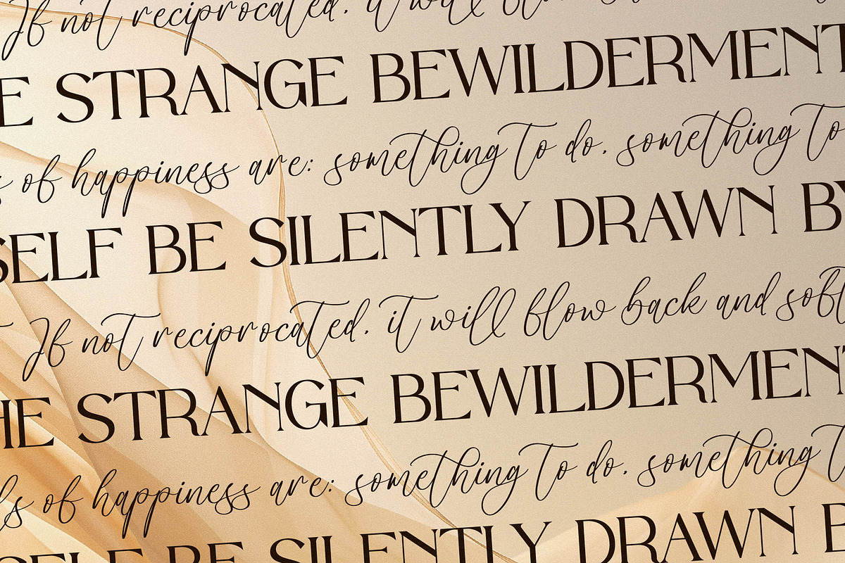 Horsion Sorelistha Font Duo, a Serif Font by Storytype Studio (Photo 7 of 15)