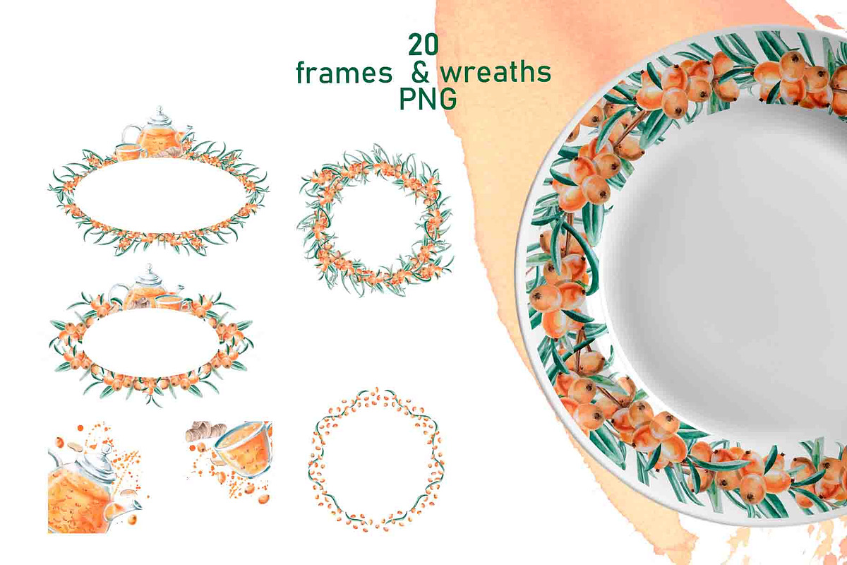 Sea Buckthorn and Ginger, a Food Illustration by SvetLana (Photo 6 of 12)