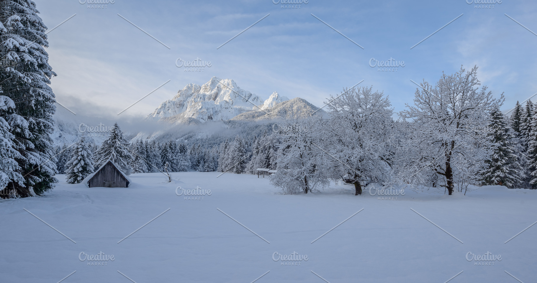 Winter morning in the forest and mountains, a Nature Photo by Dreamy Pixel