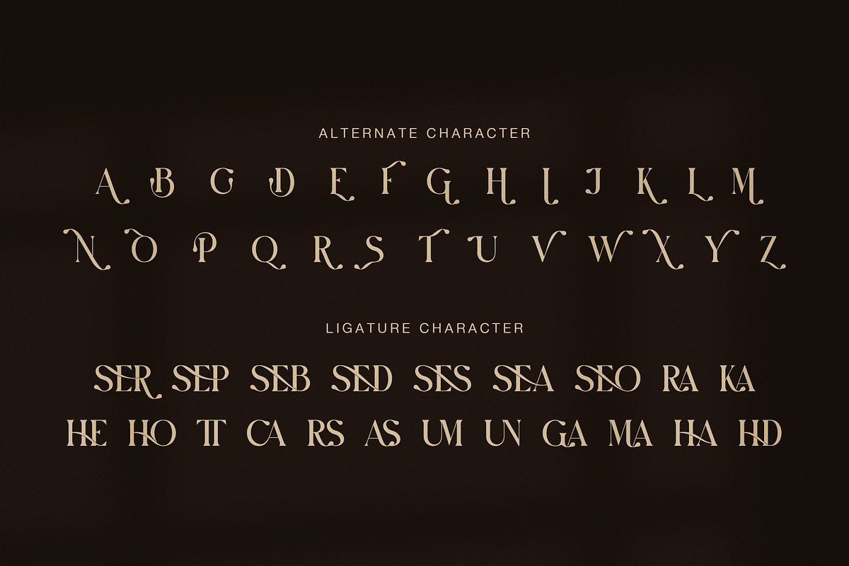 Boxer Elegant Display Serif Font, a Serif Font by Graphicxell (Photo 8 of 8)