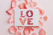Petal OTF Font, a Font by ink drop (Thumbnail 6 of 7)