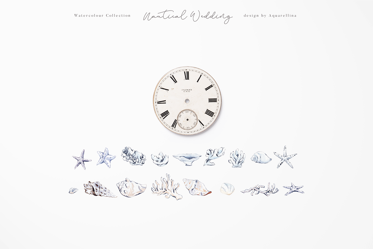 Nautical Beach Wedding Illustrations, a Decorative Illustration by Aquarellina (Photo 7 of 34)