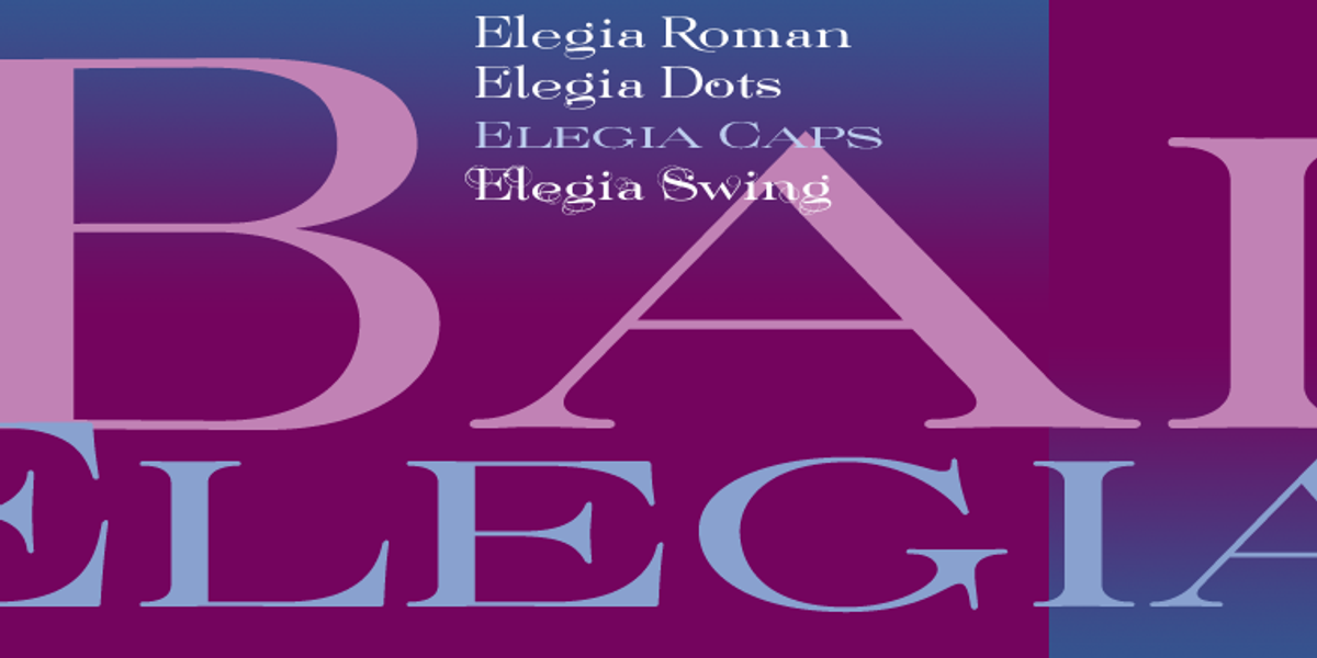 Elegia, a Serif Font by Wiescher-Design (Photo 4 of 5)