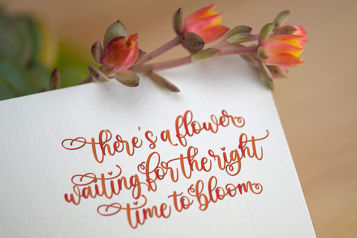 Sefilya | Beauty Script, a Script Font by Almeera Std (Photo 8 of 10)