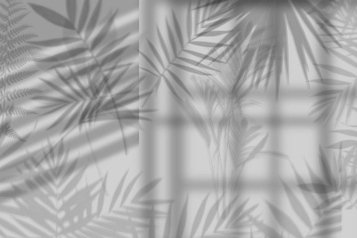 Big Pack Scene Generator, a Cups & Container Mockup by Mila (Photo 43 of 44)