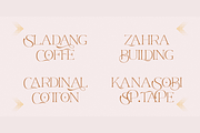 Rondawe, a Serif Font by LuhopCreative (Thumbnail 11 of 15)