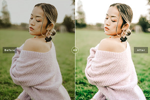 Milkweed Pro Lightroom Presets