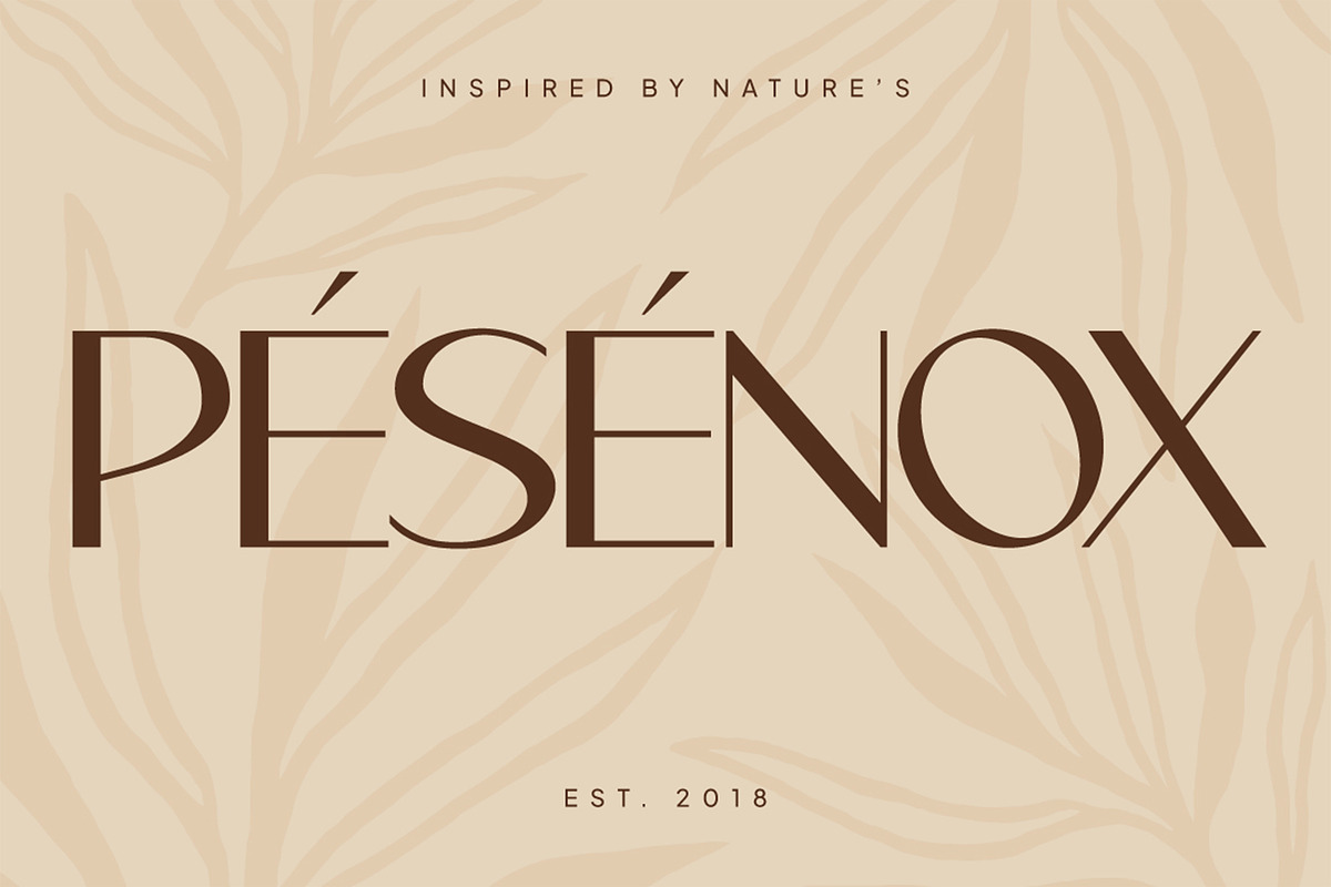 Legowo - Modern Elegant Font, a Sans Serif Font by Pekotype (Photo 7 of 16)