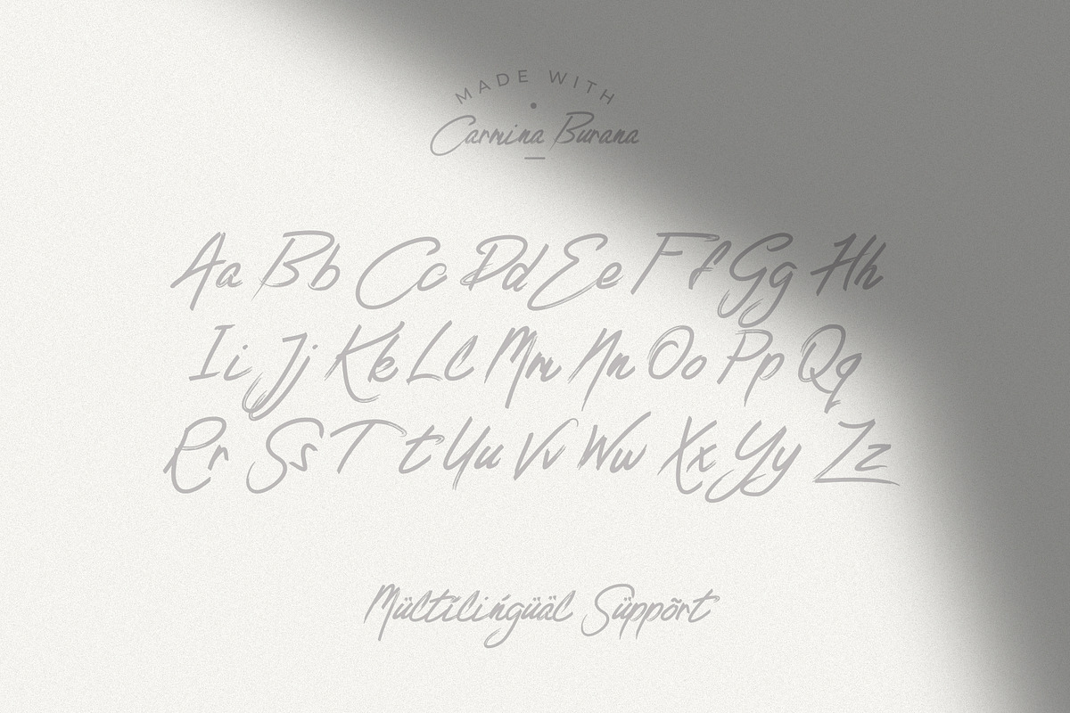 Carmina Burana - Grunge Brush Font preview 8