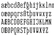 EB Jessica Font Family -50 %, a Font by Erik Bertell Fonts (Thumbnail 5 of 5)
