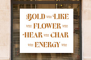 Kavare Bold Modern Serif Font, a Serif Font by timelesstype.co (Thumbnail 16 of 20)